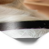 JACK RUSSELL TERRIER DOG FOTO AFDRUK (Hoek)