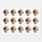 JACK RUSSELL TERRIER DOG INPAKPAPIER VEL (Voorkant 3)