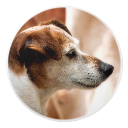 JACK RUSSELL TERRIER DOG KERAMISCHE KNOP (Voorkant)
