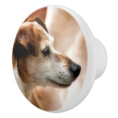 JACK RUSSELL TERRIER DOG KERAMISCHE KNOP (Rechts)