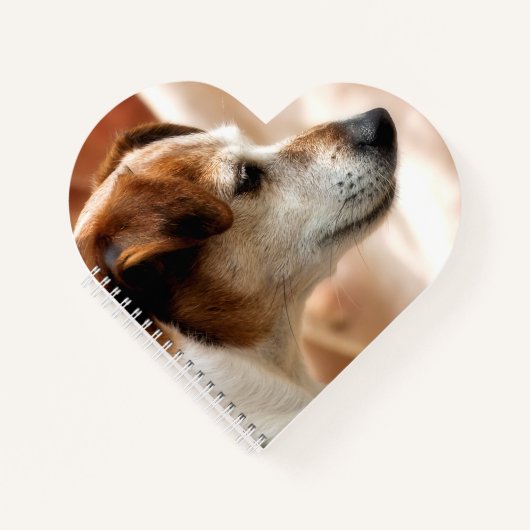 JACK RUSSELL TERRIER DOG NOTITIEBOEK (Voorkant)