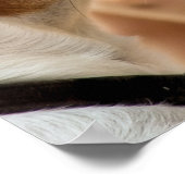 JACK RUSSELL TERRIER DOG POSTER (Hoek)