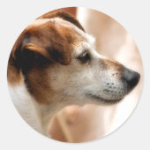 JACK RUSSELL TERRIER DOG RONDE STICKER (Voorkant)