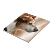 JACK RUSSELL TERRIER DOG TEGELTJE (Zijkant)