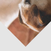 JACK RUSSELL TERRIER DOG TISSUEPAPIER (Detail)