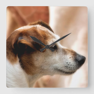 JACK RUSSELL TERRIER DOG VIERKANTE KLOK