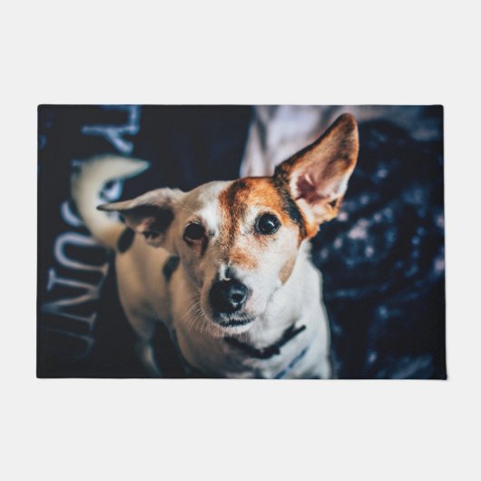 Jack Russell Terrier Doormat Deurmat (Voorkant)