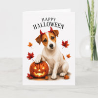 Jack Russell Terrier Duivels Hond