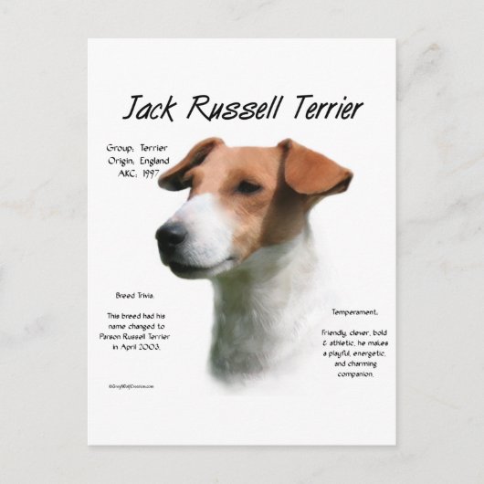 Jack Russell Terrier Geschiedenis Briefkaart (Voorkant)