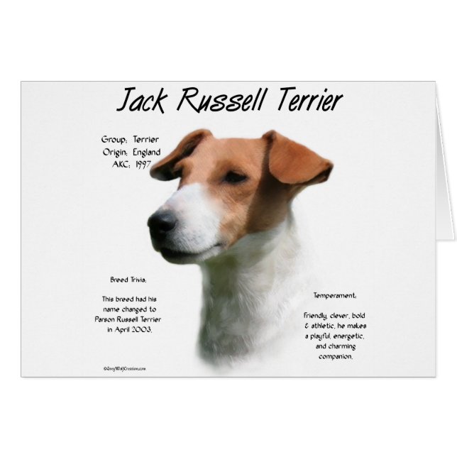 Jack Russell Terrier Histoire (Devant horizontal)