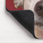 Jack Russell Terrier Holding kerstversiering Muismat (Hoek)