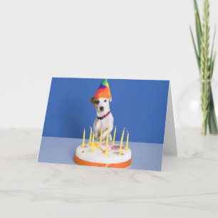 Jack Russell Terrier hond met feesthoed Kaart