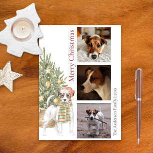 Jack Russell Terrier met kerstboom Pet Dog Foto Feestdagenkaart
