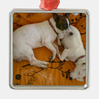 Jack Russell Terrier Metalen Ornament