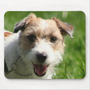 Jack Russell Terrier mousepad Muismat