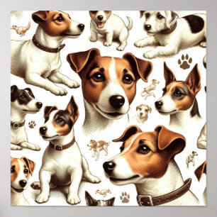 Jack Russell Terrier Naadloos Poster