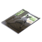 Jack Russell Terrier Notitieboek (Linkerzijde)