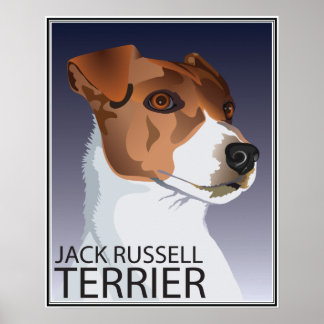 Jack Russell Terrier Poster
