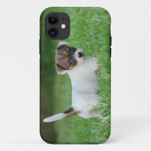Jack Russell Terrier puppy iPhone 11 Hoesje