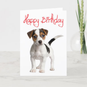 Jack Russell Terrier Puppy Dog Birthday Card Kaart