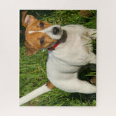 Jack Russell Terrier Puppy Dog Jigzaag Puzzle Legpuzzel (Verticaal)