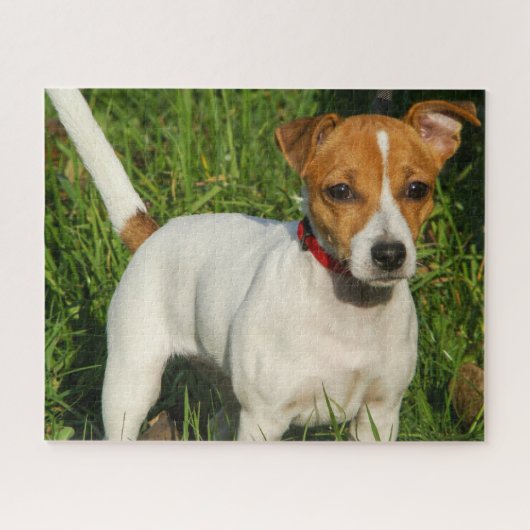 Jack Russell Terrier Puppy Dog Jigzaag Puzzle Legpuzzel (Horizontaal)