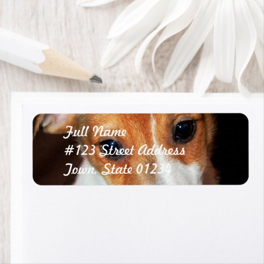 Jack Russell Terrier Puppy Dog Mailing Label (Insitu)