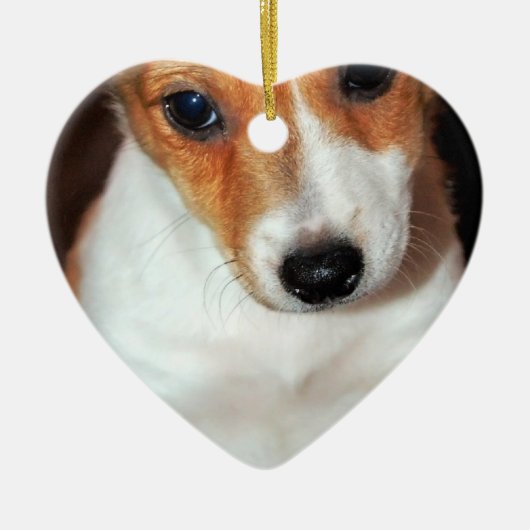 Jack Russell Terrier Puppy Dog Ornament (Voorkant)