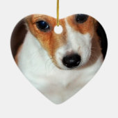 Jack Russell Terrier Puppy Dog Ornament (Achterkant)