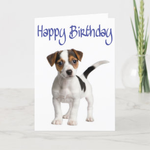 Jack Russell Terrier Puppy Dog Verjaardag Kaart