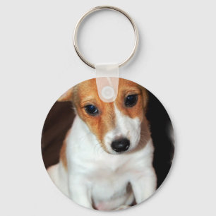Jack Russell Terrier Puppy Hond Sleutelhanger