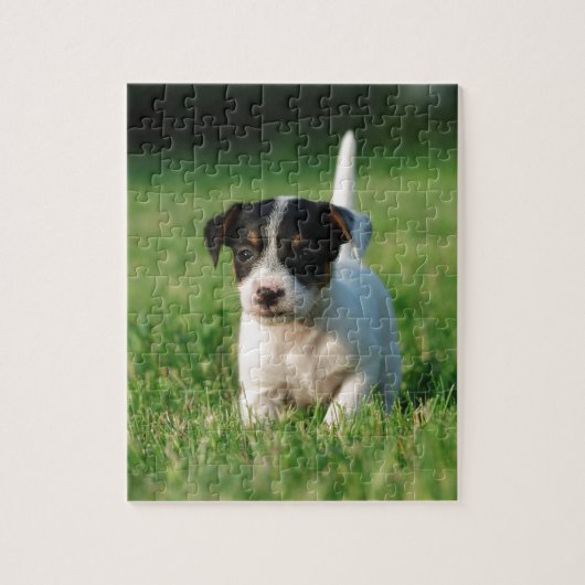 Jack Russell Terrier puppy Legpuzzel (Verticaal)
