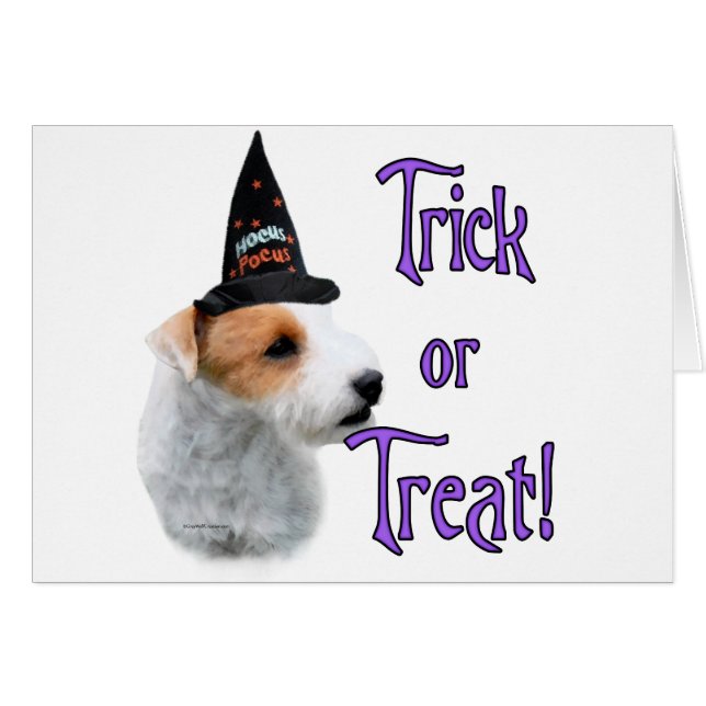 Jack Russell Terrier Trick (Devant horizontal)