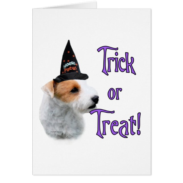Jack Russell Terrier Trick (Devant)