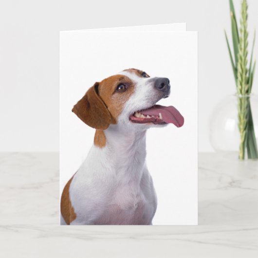Jack Russell Terrier Vriendschap Kaart (Voorkant)