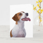 Jack Russell Terrier Vriendschap Kaart (Gele Bloem)