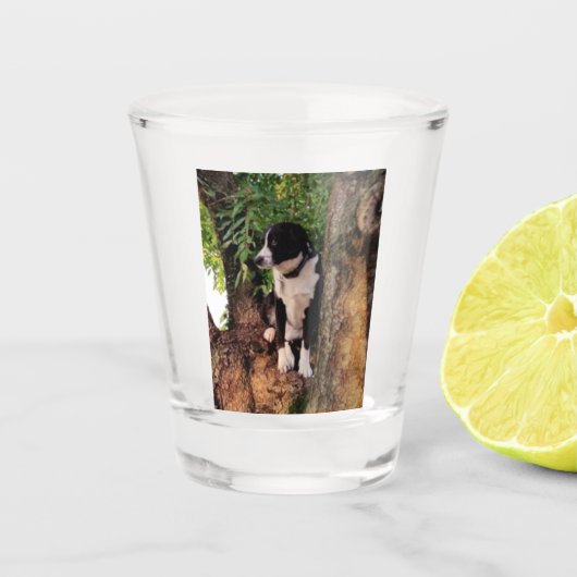 JACK SHOT GLAS (Voorkant)