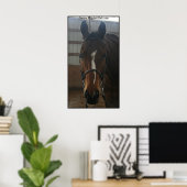 Jack the Quarter Horse Poster (Thuiskantoor)