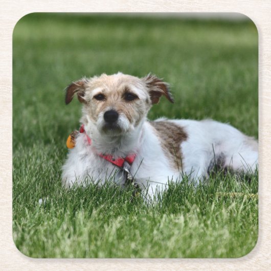 Jack Vierkante Kartonnen Onderzetter (Voorkant)