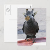 Jackaffe Briefkaart (Voorkant / Achterkant)