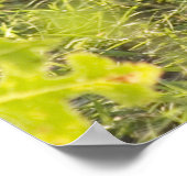 Jackalope 1 poster (Hoek)