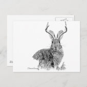 Jackalope Briefkaart (Voorkant / Achterkant)