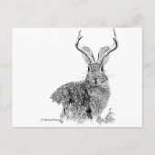 Jackalope Briefkaart (Voorkant)