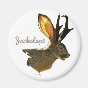 Jackalope Magneet