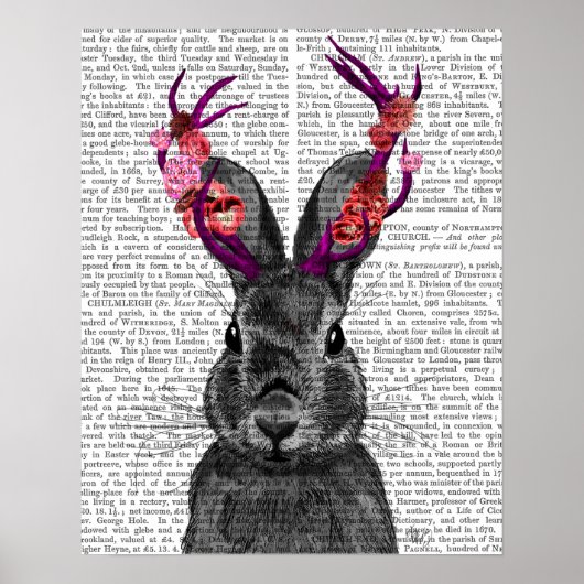 Jackalope met roze Antlers Poster (Voorkant)