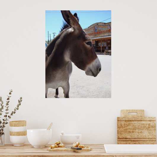 Jackass Poster (Keuken)