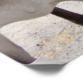 Jackass Poster (Hoek)