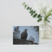 Jackdaw Bird Carte de visite (Debout devant)