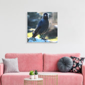 Jackdaw Canvas Afdruk (Insitu (Woonkamer))