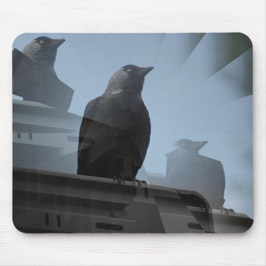 Jackdaw vogel Mousepad Muismat (Voorkant)